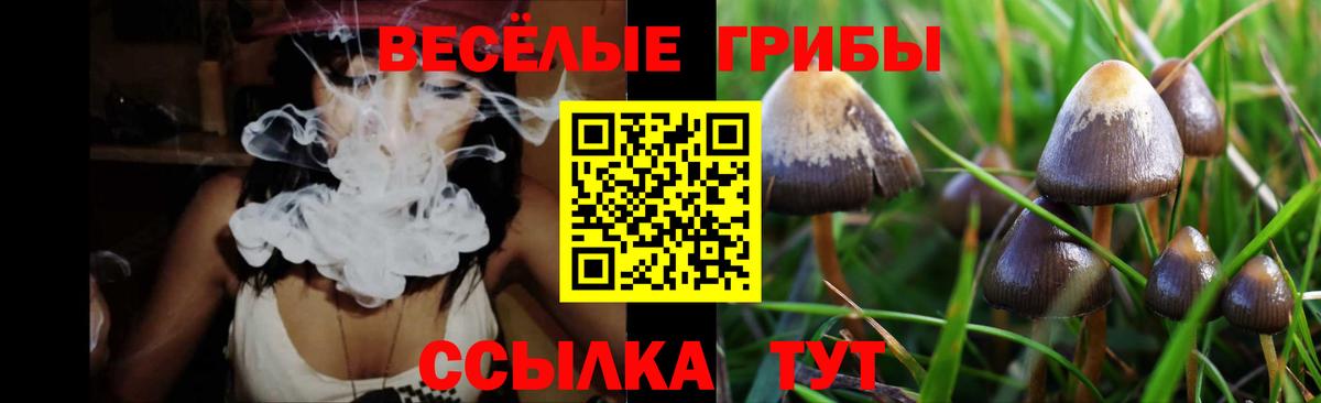 Галлюциногенные грибы мицелий  Вход с VPN  Спасск-Дальний 